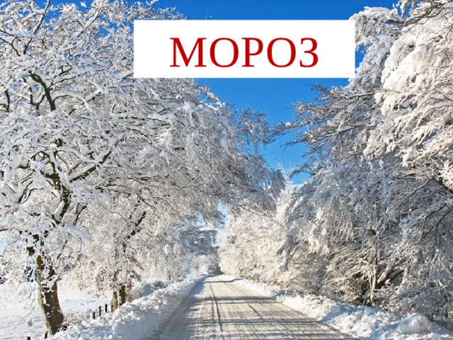 МОРОЗ 