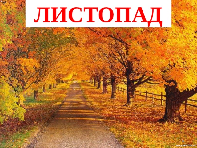 ЛИСТОПАД 