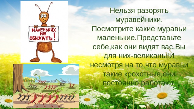 Нельзя разорять муравейники.  Посмотрите какие муравьи маленькие.Представьте себе,как они видят вас.Вы для них-великаны!И несмотря на то,что муравьи такие крохотные,они постоянно работают. 