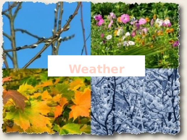  Weather 