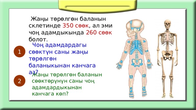  Жаңы төрөлгөн баланын склетинде 350 сөөк , ал эми чоң адамдыкында 260 сөөк болот.  Чоң адамдардагы сөөктүн саны жаңы төрөлгөн баланыкынан канчага аз? 1 Жаңы төрөлгөн баланын сөөктөрүнүн саны чоң адамдардыкынан канчага көп? 2 
