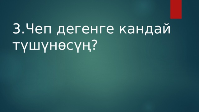 3.Чеп дегенге кандай түшүнөсүң? 