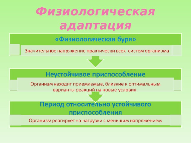 Физиологическая адаптация 