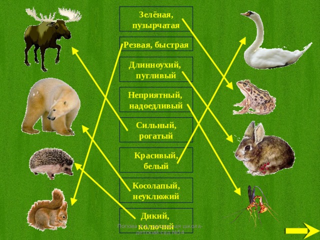 Зелёная, пузырчатая Резвая, быстрая Длинноухий, пугливый Неприятный, надоедливый Сильный, рогатый Красивый, белый Косолапый, неуклюжий Дикий, колючий Попова А.А.,начальная школа-детский сад №54
