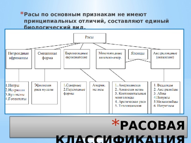 Расы по основным признакам не имеют принципиальных отличий, составляют единый биологический вид. РАСОВАЯ КЛАССИФИКАЦИЯ 