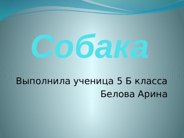 Собака Выполнила ученица 5 Б класса Белова Арина 