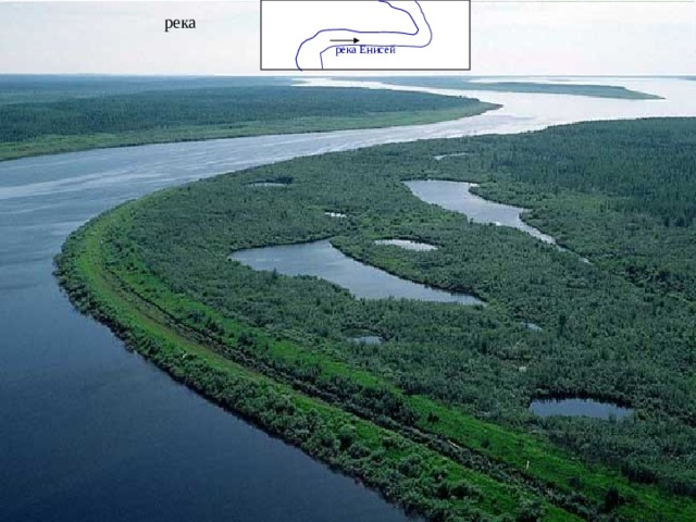 река Енисей река 
