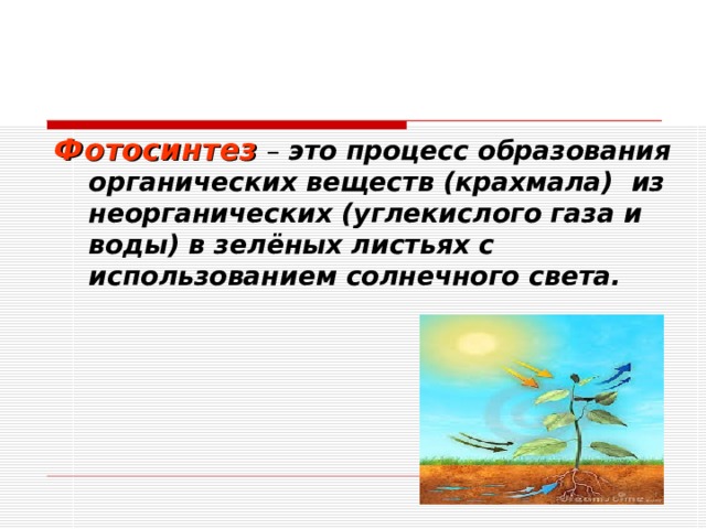 Фотосинтез  – это процесс образования органических веществ (крахмала) из неорганических (углекислого газа и воды) в зелёных листьях с использованием солнечного света. 