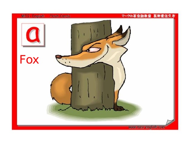 Fox 
