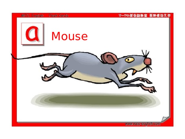 Mouse 