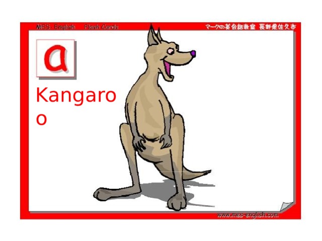 Kangaroo 