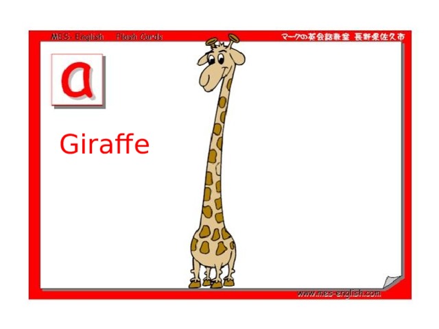 Giraffe 