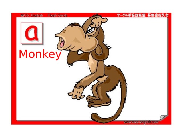 Monkey 