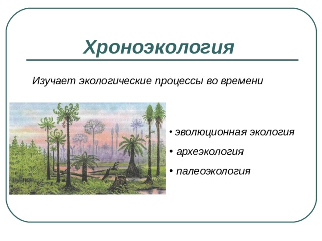 Хроноэкология  Изучает экологические процессы во времени  эволюционная экология  археэкология  палеоэкология 