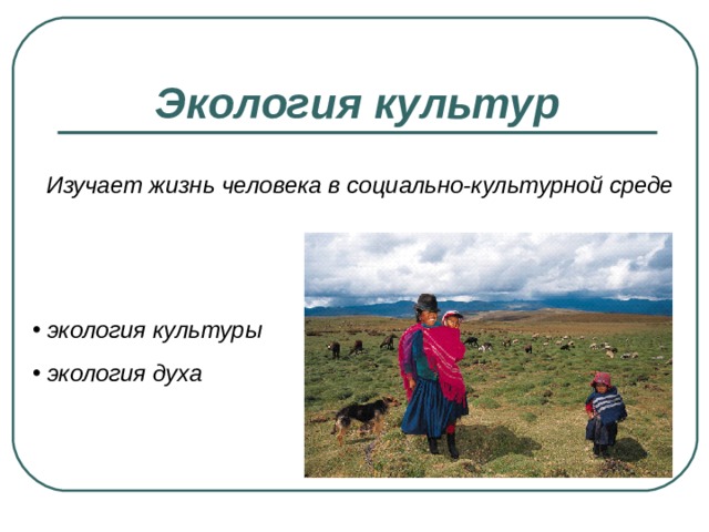 Экология культур Изучает жизнь человека в социально-культурной среде  экология культуры  экология духа 
