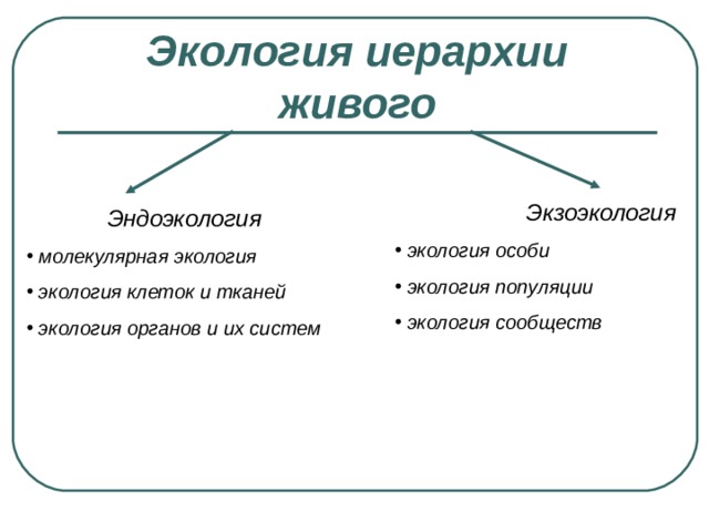 Экология иерархии живого  Экзоэкология  экология особи  экология популяции  экология сообществ  Эндоэкология  молекулярная экология  экология клеток и тканей  экология органов и их систем 