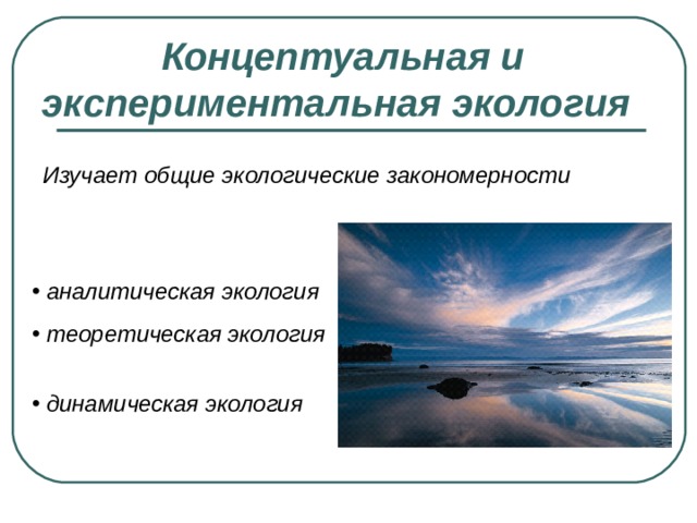 Концептуальная и экспериментальная экология  Изучает общие экологические закономерности  аналитическая экология  теоретическая экология  динамическая экология 