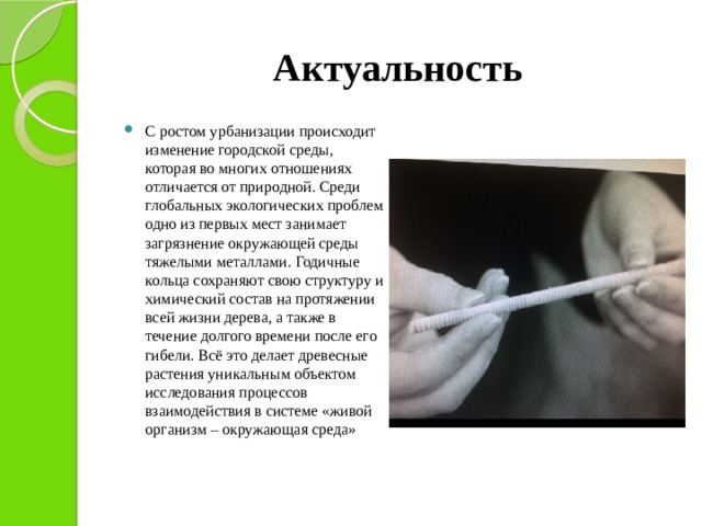 Актуальность С ростом урбанизации происходит изменение городской среды, которая во многих отношениях отличается от природной. Среди глобальных экологических проблем одно из первых мест занимает загрязнение окружающей среды тяжелыми металлами. Годичные кольца сохраняют свою структуру и химический состав на протяжении всей жизни дерева, а также в течение долгого времени после его гибели. Всё это делает древесные растения уникальным объектом исследования процессов взаимодействия в системе «живой организм – окружающая среда» 