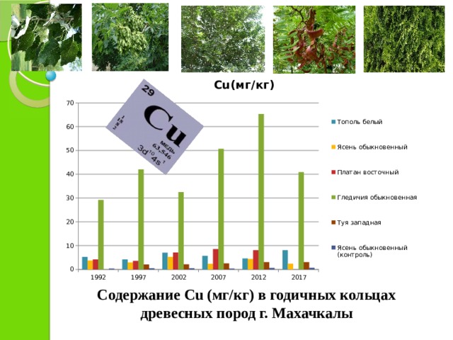 Содержание Cu (мг/кг) в годичных кольцах древесных пород г. Махачкалы 