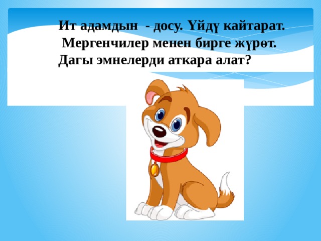 Ит адамдын - досу. Үйдү кайтарат.  Мергенчилер менен бирге жүрөт. Дагы эмнелерди аткара алат?      