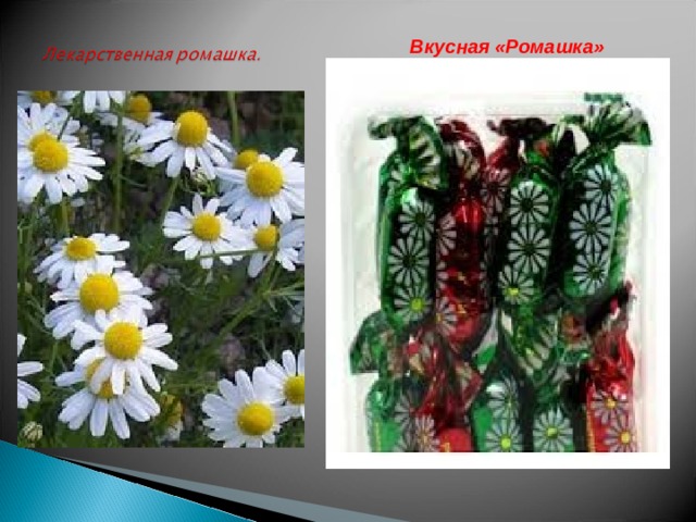 Вкусная «Ромашка»   