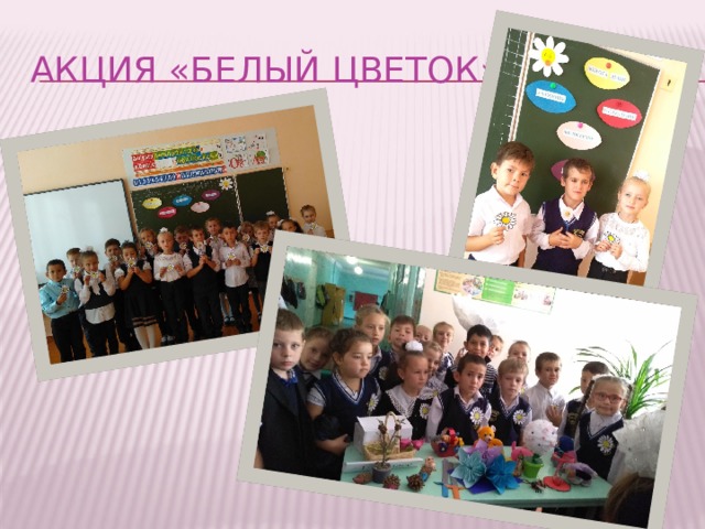Акция «Белый цветок» 