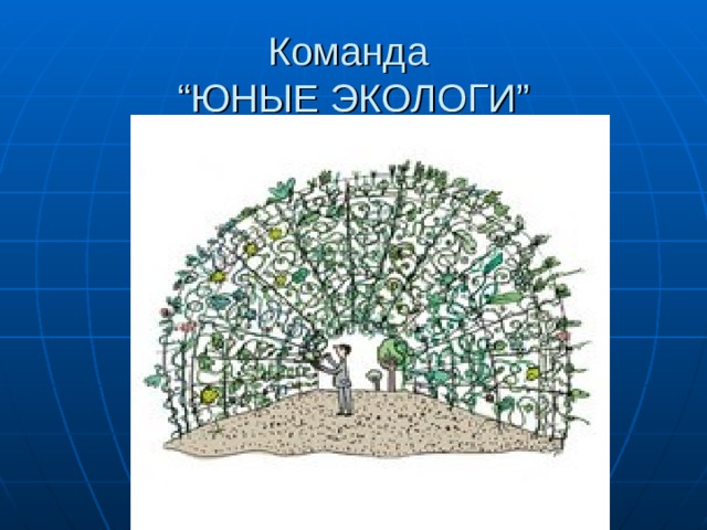 Команда  “ ЮНЫЕ ЭКОЛОГИ ” 