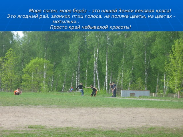  Море сосен, море берёз – это нашей Земли вековая краса! Это ягодный рай, звонких птиц голоса, на поляне цветы, на цветах – мотыльки.. Просто край небывалой красоты!  