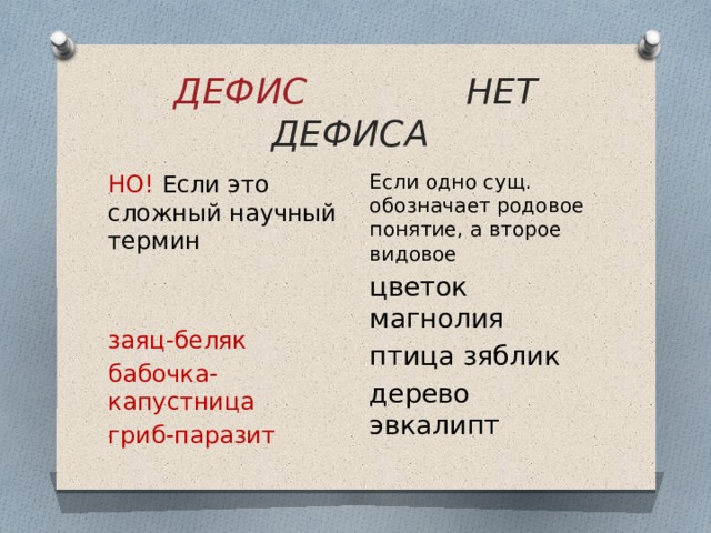 ДЕФИС НЕТ ДЕФИСА Если одно сущ. обозначает родовое понятие, а второе видовое цветок магнолия птица зяблик дерево эвкалипт НО! Если это сложный научный термин заяц-беляк бабочка-капустница гриб-паразит 