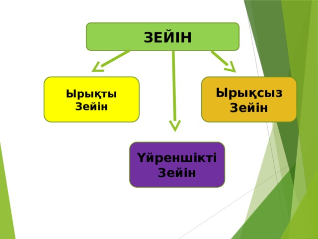  ЗЕЙІН Ырықты Ырықсыз Зейін Зейін Үйреншікті Зейін 