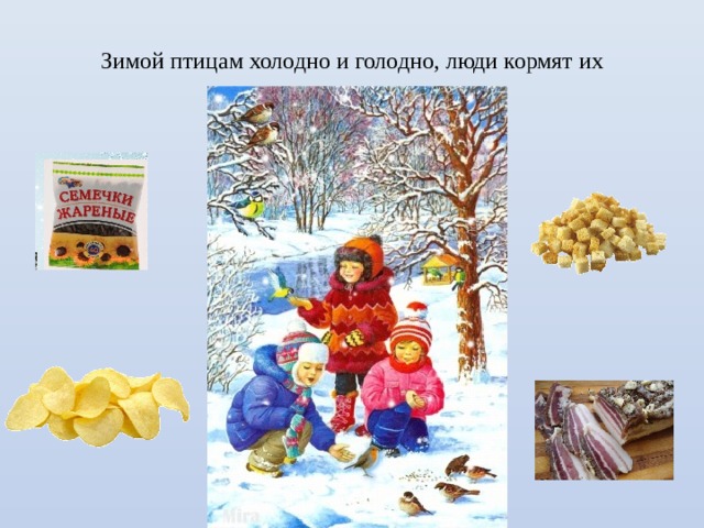 Зимой птицам холодно и голодно, люди кормят их 