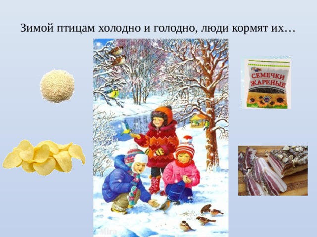 Зимой птицам холодно и голодно, люди кормят их… 