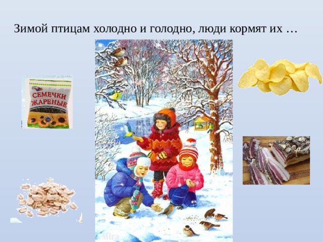Зимой птицам холодно и голодно, люди кормят их … 
