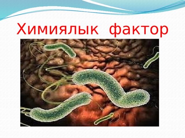 Химиялык фактор 