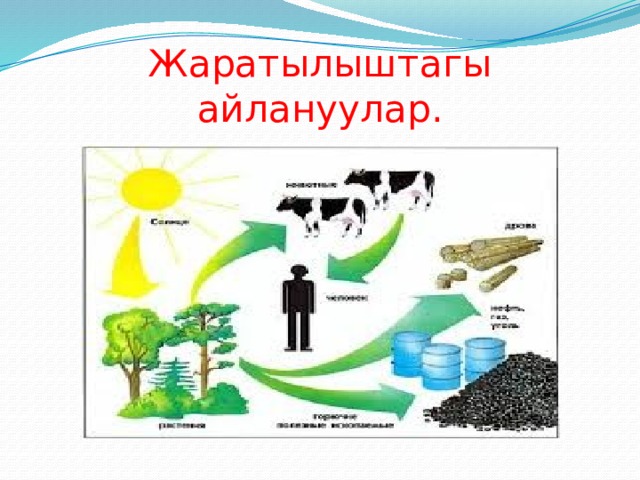 Жаратылыштагы айлануулар. 