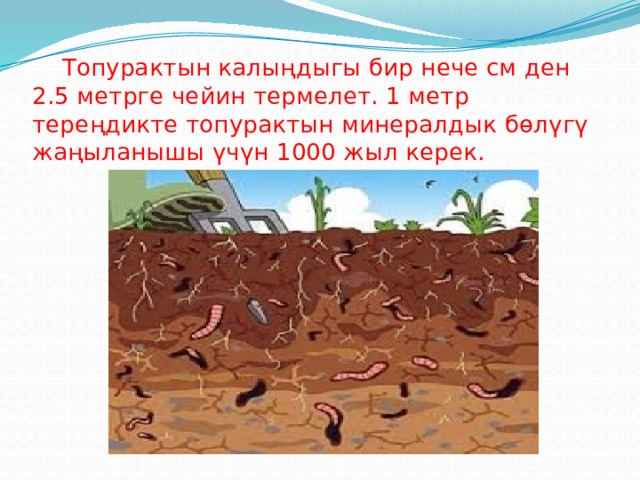  Топурактын калыңдыгы бир нече см ден 2.5 метрге чейин термелет. 1 метр тереңдикте топурактын минералдык бөлүгү жаңыланышы үчүн 1000 жыл керек. 