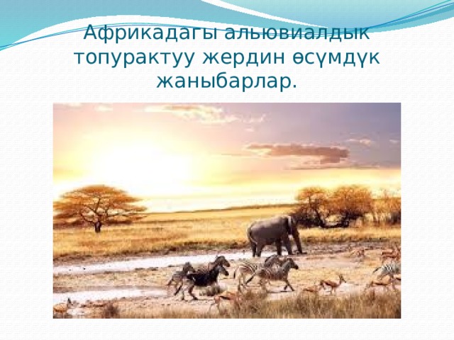 Африкадагы альювиалдык топурактуу жердин өсүмдүк жаныбарлар. 