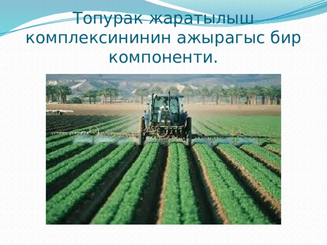 Топурак жаратылыш комплексининин ажырагыс бир компоненти. 