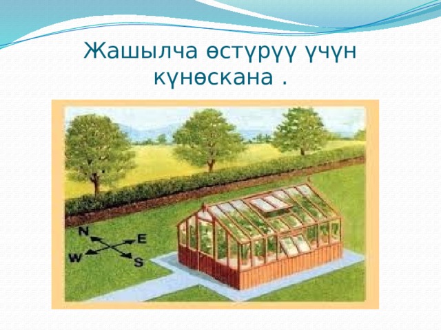 Жашылча өстүрүү үчүн күнөскана . 