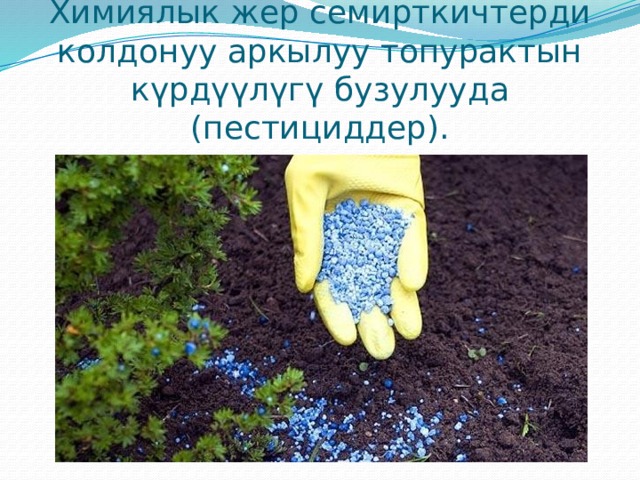 Химиялык жер семирткичтерди колдонуу аркылуу топурактын күрдүүлүгү бузулууда (пестициддер). 