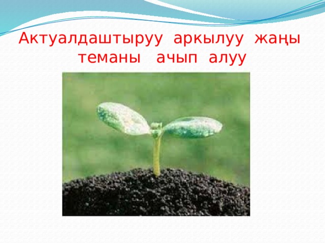 Актуалдаштыруу аркылуу жаңы теманы ачып алуу 