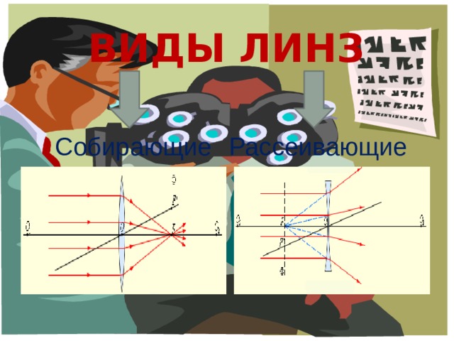 Виды линз Собирающие Рассеивающие 