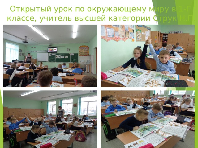  Открытый урок по окружающему миру в 1-Г классе, учитель высшей категории Струк Н.П. 