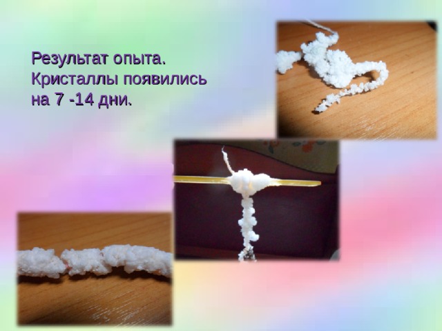 Результат опыта. Кристаллы появились на 7 -14 дни. 