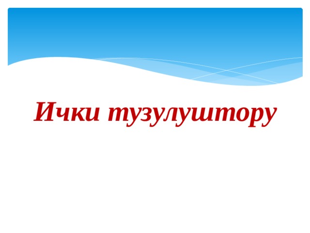 Ички тузулуштору 