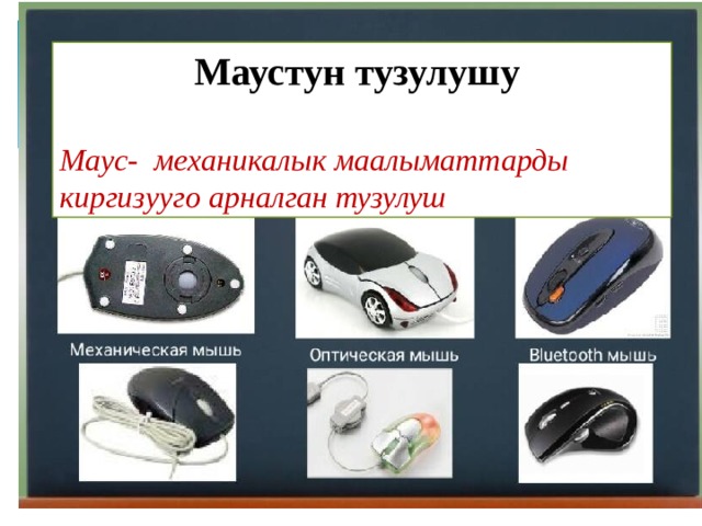 Маустун тузулушу  Маус- механикалык маалыматтарды киргизууго арналган тузулуш 