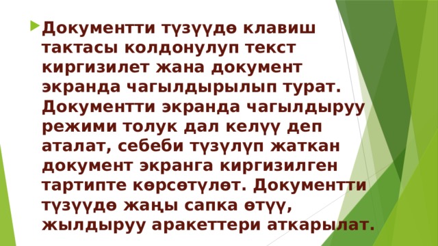 Документти түзүүдө клавиш тактасы колдонулуп текст киргизилет жана документ экранда чагылдырылып турат. Документти экранда чагылдыруу режими толук дал келүү деп аталат, себеби түзүлүп жаткан документ экранга киргизилген тартипте көрсөтүлөт. Документти түзүүдө жаңы сапка өтүү, жылдыруу аракеттери аткарылат. 