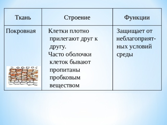 Функции Строение Ткань  Защищает от неблагоприят-  ных условий  среды  Клетки плотно прилегают друг к другу.  Часто оболочки клеток бывают пропитаны пробковым веществом  Покровная  