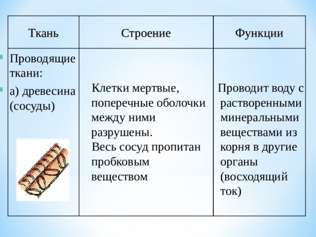 Функции Строение Ткань  Проводит воду с растворенными минеральными веществами из корня в другие органы (восходящий ток)  Клетки мертвые, поперечные оболочки между ними разрушены.  Весь сосуд пропитан пробковым веществом Проводящие ткани: а) древесина (сосуды) 