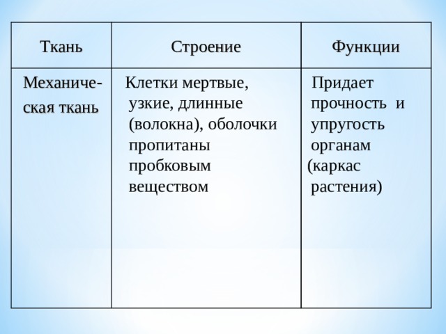 Функции Строение Ткань  Придает прочность и упругость органам  (каркас растения)  Клетки мертвые, узкие, длинные (волокна), оболочки пропитаны пробковым веществом Механиче- ская ткань 